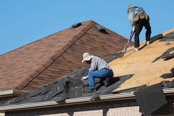 Best Roof Maintenance and Cleaning  in Frazeysburg, OH